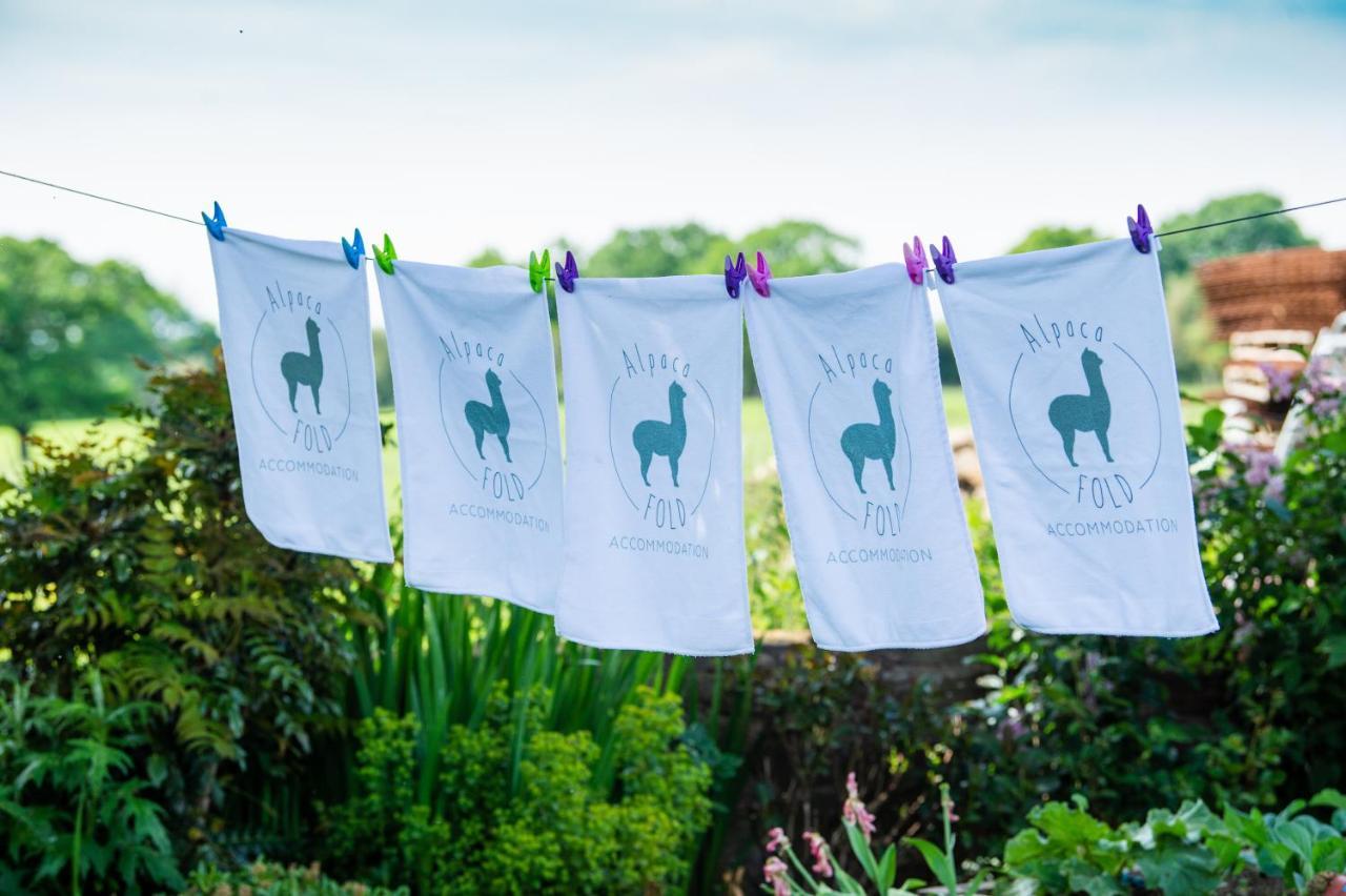 Alpaca Fold Villa Preston  Luaran gambar